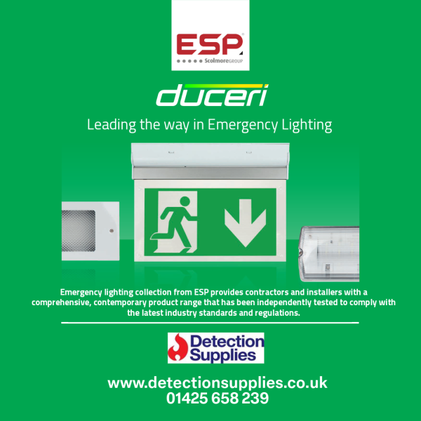 EMERGENCY LIGHTS .